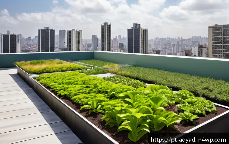 신도시 물 관리 전략 관련 이미지 1